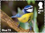 Garden Wildlife 2nd Stamp (2025) Blue Tit