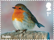 Garden Wildlife 1st Stamp (2025) Robin