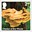 2nd, Chicken of The Woods -  Laetiporus sulphureus from Mushrooms (2025)