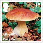 Mushrooms 1st Stamp (2025) Penny Bun - Boletus edulis