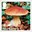 1st, Penny Bun - Boletus edulis from Mushrooms (2025)