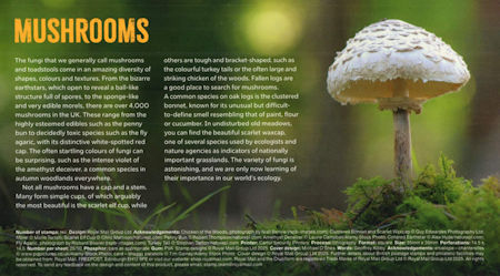 Mushrooms 2025
