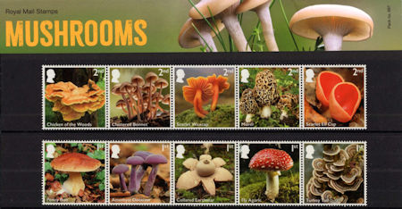 Mushrooms 2025