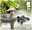 1st, Eider from Ducks (2025)