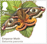 Moths 2nd Stamp (2026) Emperor Moth (Saturnia pavonia)