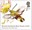 2nd, Broad-bordered Bee Hawk-moth (Hemaris fuciformis) from Moths (2026)