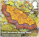 Moths 2nd Stamp (2026) Dark Bordered Beauty Moth (Epione vespertaria)