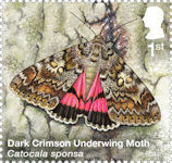 Moths 1st Stamp (2026) Dark Crimson Underwing Moth (Catocala sponsa)