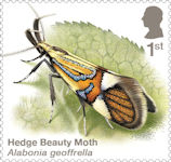 Moths 1st Stamp (2026) Hedge Beauty Moth (Alabonia geoffrella)