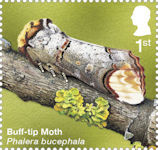 Moths 1st Stamp (2026) Buff-tip Moth (Phalera bucephala)