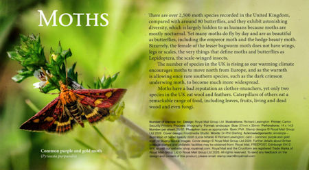 Moths - (2026) Moths