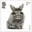 2nd, Rabbit from Pets (2026)