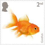 Pets 2nd Stamp (2026) Goldfish