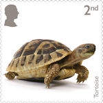Pets 2nd Stamp (2026) Tortoise