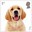1st, Dog from Pets (2026)