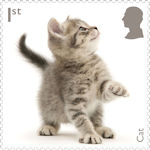 Pets 1st Stamp (2026) Cat