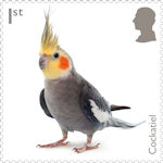 Pets 1st Stamp (2026) Cockatiel
