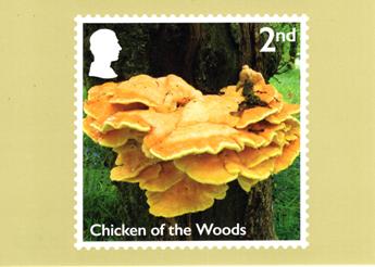 PHQ Cards from Collect GB Stamps