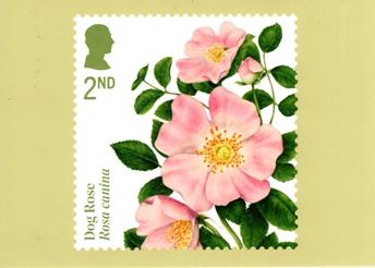 PHQ Cards from Collect GB Stamps