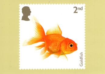 PHQ566 (b)
